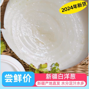 新疆洋葱头正宗特产新鲜菜皮牙子皮辣红新疆老虎菜白洋葱2斤包邮