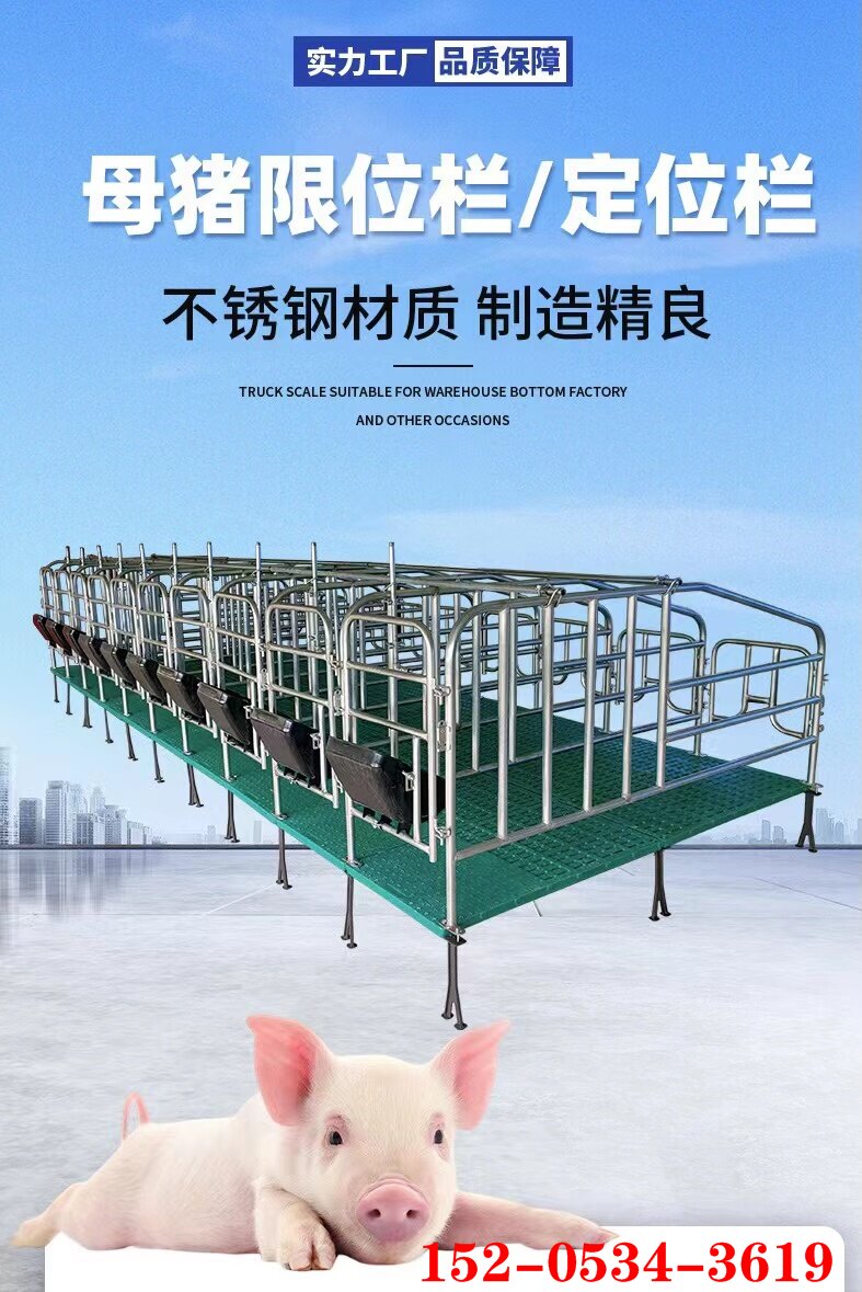 母猪定位栏猪用限位栏猪场养殖设备厚热镀锌母猪定位栏猪圈漏粪