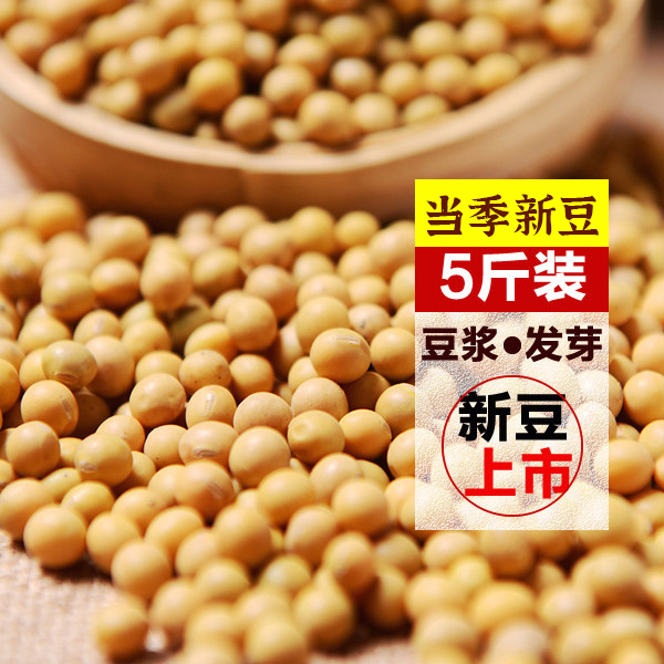 黄豆 东北秋收新豆浆豆发芽大豆专用黑龙江农家五谷杂粮5斤装包邮