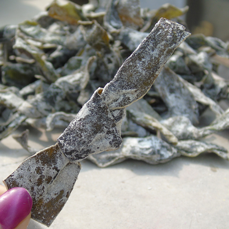 麻辣烫海带扣火锅海带结食材