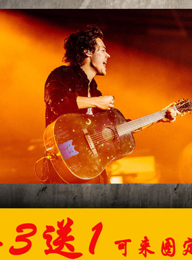 哈卷海报Harry Styles哈里斯泰尔斯贴纸宿舍房间墙贴纸周边定制