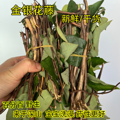 野生新鲜金银花藤宝宝婴儿洗澡晒干忍冬藤整根带叶子农家当季节