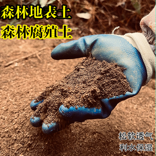森林地表土森林腐殖营养土龟微生态环境垫底土松软透气天然营养土