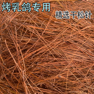 精选马尾松干松针细长松叶松树叶纯天然风干松毛烤乳鸽营养材料