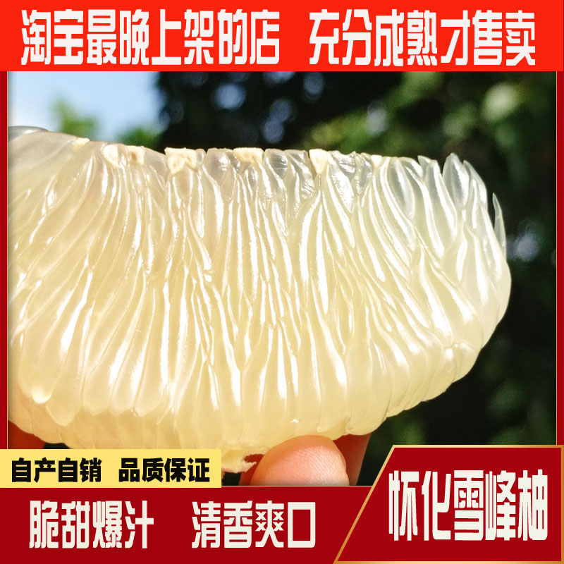 湖南雪峰柚当季水果新鲜老树柚