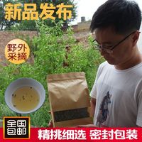 包邮包头固阳春坤山大庙镇野山茶绿茶下火北方茶125g自封袋包装