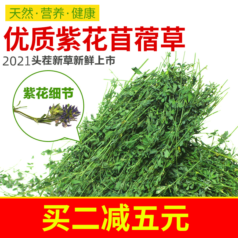 紫花苜蓿草干草兔粮兔子活物兔饲料幼兔荷兰猪小兔子侏儒龙猫粮食 吉祥宠物鸟食用品店 淘优券 紫花苜蓿草干草兔粮兔子活物兔饲料幼兔荷兰猪小兔子侏儒龙猫粮食 吉祥宠物鸟食用品店 淘优券