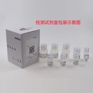 Western及IP细胞裂解液 生化科研实验 试剂盒 高品质IP细胞裂解液