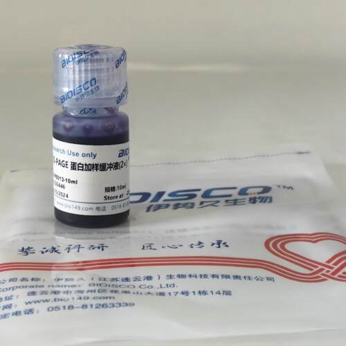 SDS-PAGE蛋白加样缓冲液 含DTT不含TCEP 科研试剂 高品质现配溶液