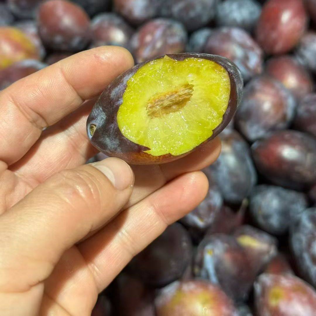 澳洲蝙蝠西梅3～5斤澳大利亚进口大西梅当季新鲜水果李子顺丰包邮