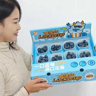 枝冠蓝莓云南花香蓝莓小懒杯