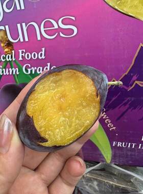 新疆紫蜜西梅大西梅顺丰包邮