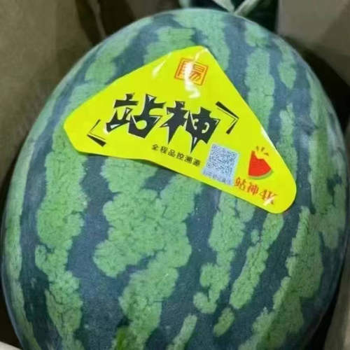 甘美4K站神西瓜战神无籽西瓜