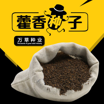 Sell bulk Medicinal material Agastache seed 2018 Pure New Soil rugosa Seeds Four seasons sow ediblein the Flower delivery/Flowers simulation/Plants gardening , Flowers/Fruits and vegetables/Lawn seed (New) , Home &amp; Garden Seeds  category - from Buy2taobao.com to provide professional Taobao agent buy service