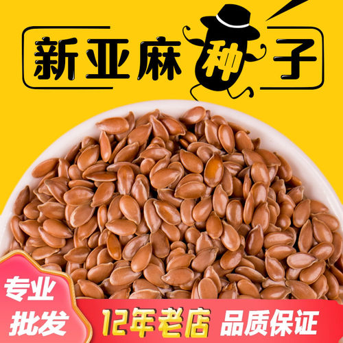 出售内蒙新亚麻籽老品种胡麻种子15元500克包邮干净无杂发芽率高