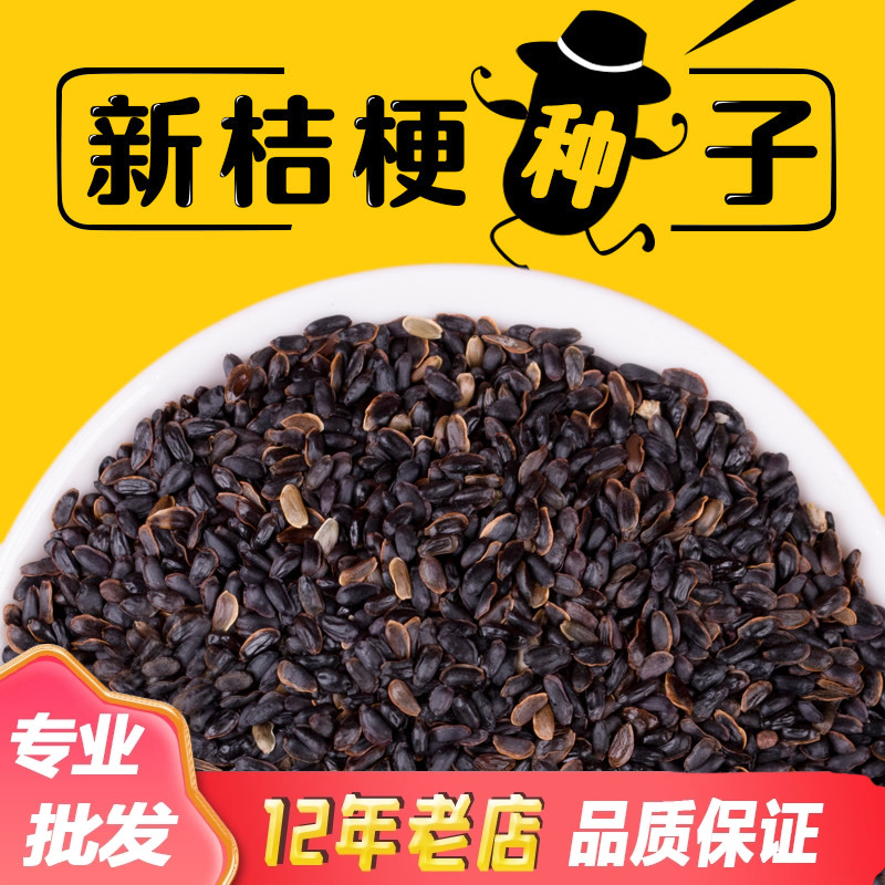 出售新药材桔梗种子散装食用狗宝咸菜种籽包发芽四季播种阳台盆栽图片
