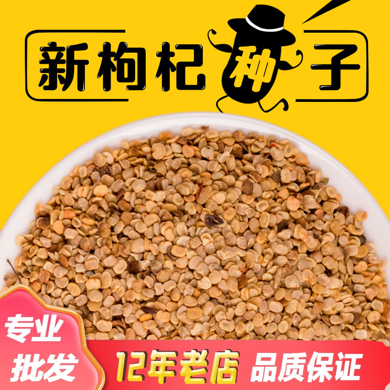 食用枸杞种子宁夏特产水洗净枸杞叶种籽南北方四季种植枸杞树苗图片