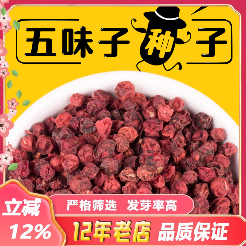 散装五味子种子中药材北五味子树苗种籽北方种植药用价值高送资料