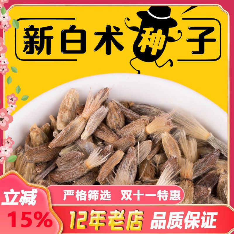 2025年新改良白术种子药材白术种籽种植春季播种包发芽包邮送技术