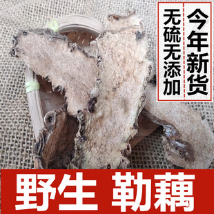 勒藕 野生勒茨菇 天策菜 天河芋刺芋簕茨菇水刺芋 刺虎煲汤