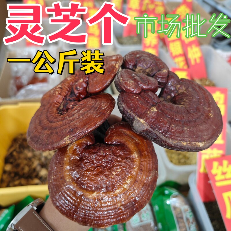 赤灵芝个包邮新货长白山紫灵芝半野生灵芝片林芝包邮发灵芝个