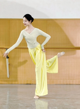 V领长袖练功服现代舞集训服古典舞身韵考级服修身螺纹棉瑜伽服