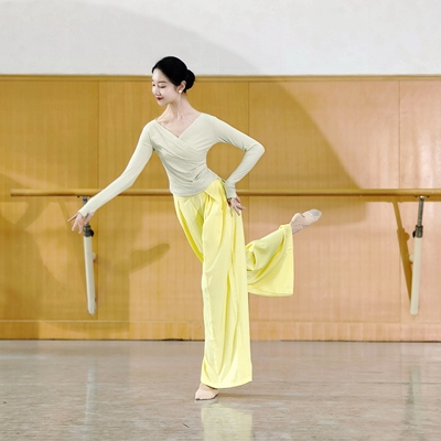 V领长袖练功服现代舞集训服古典舞身韵考级服修身螺纹棉瑜伽服