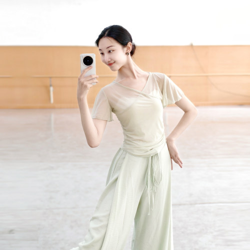 古典舞纱衣短袖练功服修身显瘦蝴蝶舞蹈服形体服中国舞身韵服国风
