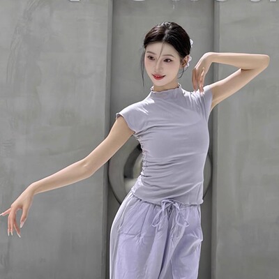 现代舞上衣古典舞练功服夏季中国舞服装女款新款立领时尚舞蹈衣服
