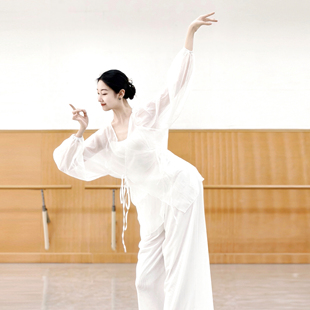 中国古典舞成人练功服纱衣宽松身韵服 飘逸仙气罩衫 新款 舞蹈服长袖