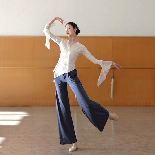 现代舞成人长袖上衣飘逸舞蹈服中国古典舞练功服形体女修身