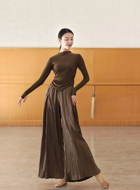 现代舞秋冬舞蹈练功服上衣古典舞专业形体训练飘逸长袖服装女艺考
