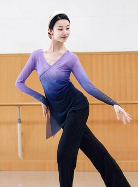 古典舞渐变身韵纱衣练功服女中国舞民族舞现代舞蹈服装上衣基训服