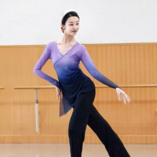 古典舞渐变身韵纱衣练功服女中国舞民族舞现代舞蹈服装 上衣基训服
