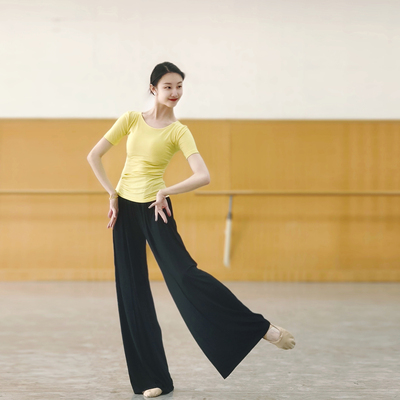 古典舞蹈服短袖上衣中国舞现代舞练功形体夏季服装