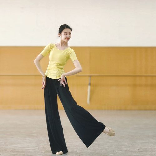 古典舞蹈服短袖上衣中国舞现代舞练功形体夏季服装