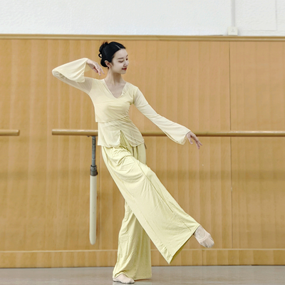 古典舞身韵纱衣练功服女中国舞民族舞现代舞蹈服装上衣显瘦基训服