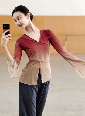 古典舞渐变身韵纱衣练功服女中国舞民族舞现代舞蹈服装上衣基训服