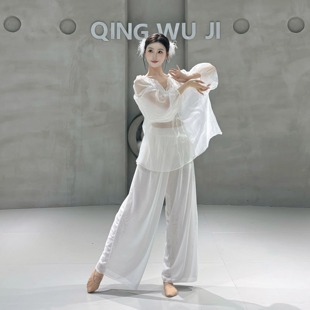 古典舞身韵服飘逸宽松网纱罩衫 上衣形体现代舞蹈练功服中国汉唐舞