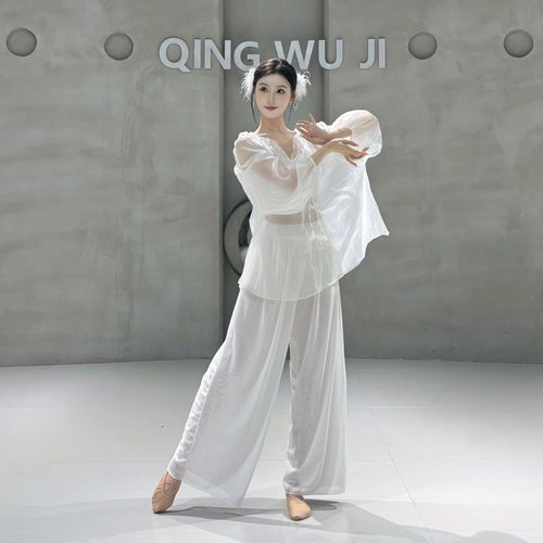 古典舞身韵服飘逸宽松网纱罩衫上衣形体现代舞蹈练功服中国汉唐舞