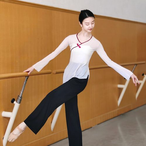 艺考古典舞纱衣飘逸练功服女中国舞盘扣身韵显瘦形体训练现代舞