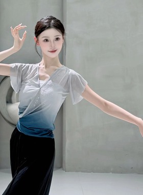 北舞同款专业练功服纱衣舞蹈服水钻渐变身韵短袖徒手班服基训古典