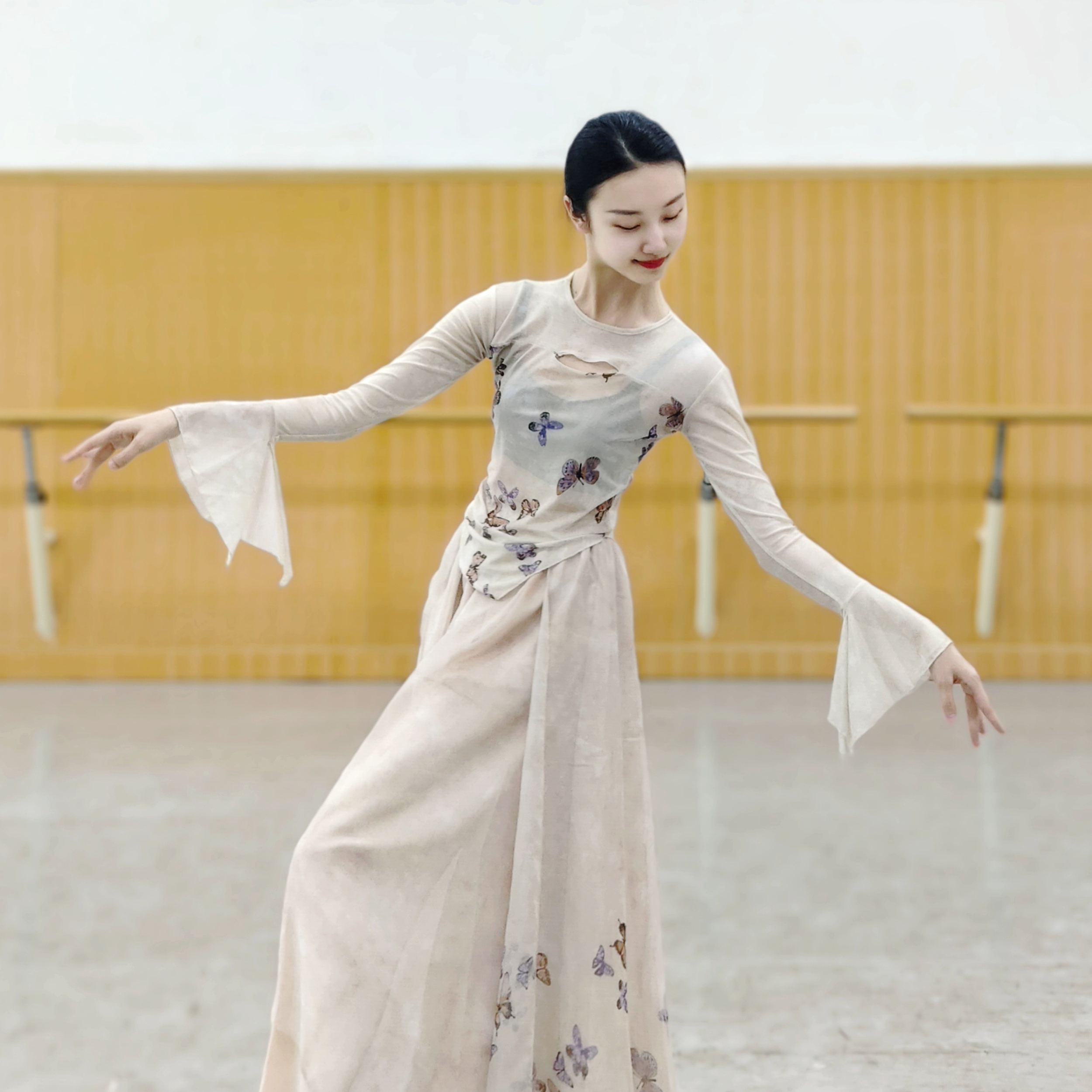 古典舞纱衣印花蝴蝶上衣中国舞练功服形体服艺考演出飘逸舞蹈服