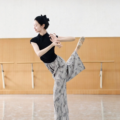 现代舞夏季成人舞蹈服短袖上衣练功修身中国古典民族跳舞服女瑜伽
