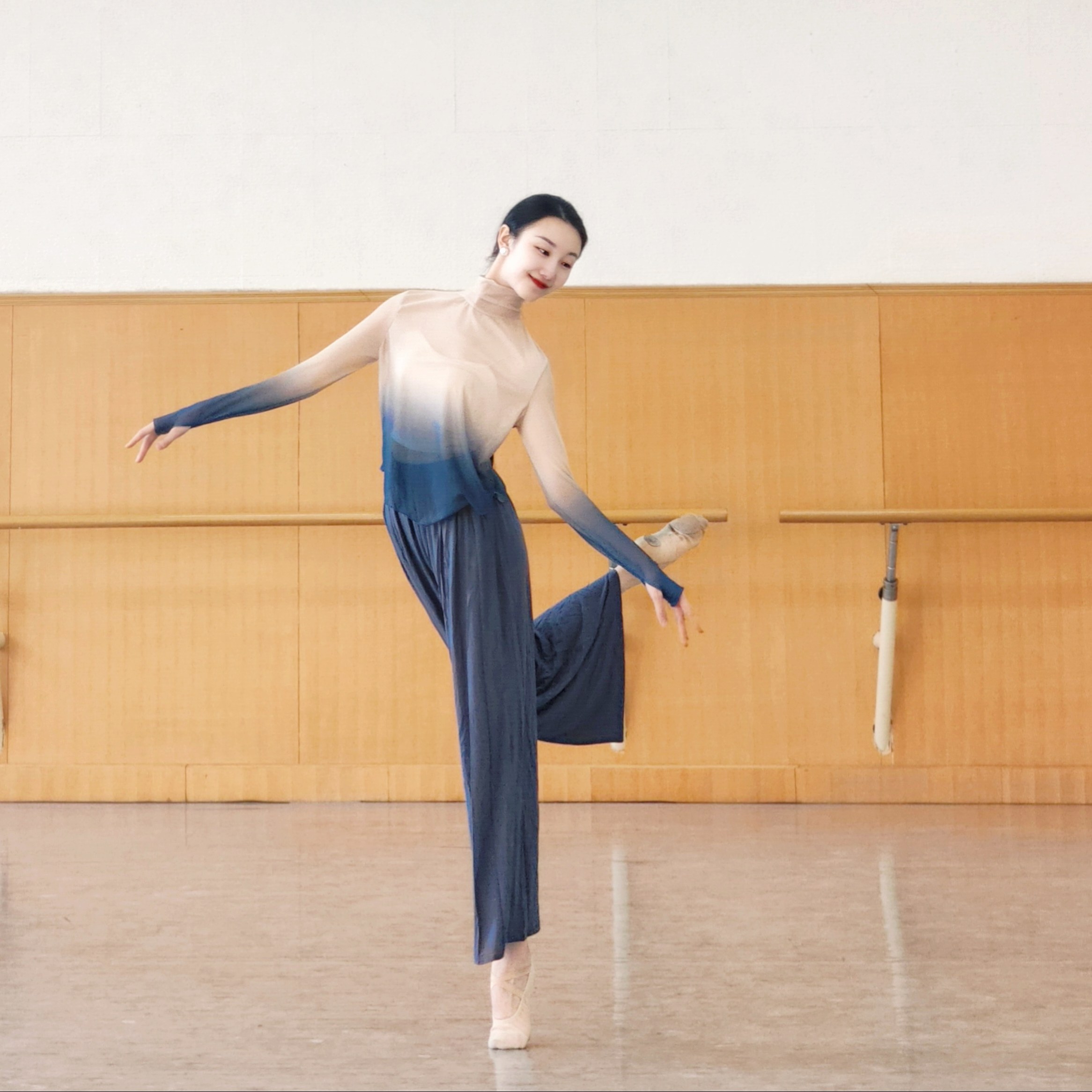 古典舞服渐变身韵宽松纱衣现代舞中国舞形体练功服上衣