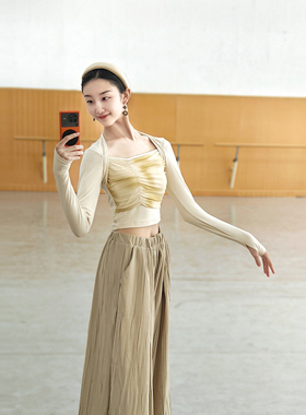 现代舞春夏舞蹈水墨网纱练功服上衣古典舞形体训练长袖服装女艺考