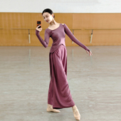 古典舞蹈服女秋冬中国风练功服舞蹈服现代舞演出服长袖 水墨上衣