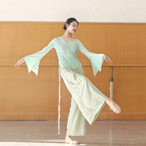 宸迪古典舞纱衣舞蹈练功服