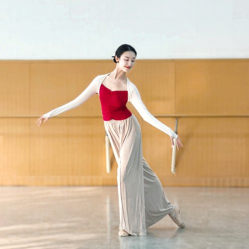 现代舞蹈服古典中国舞练功服女春秋长袖上衣形体训练服瑜伽拉丁舞