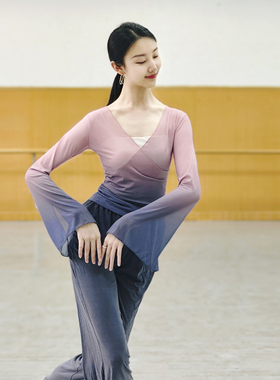 斑斓古典舞练功服身韵服纱衣中国舞舞蹈服女飘逸上衣形体服演出服